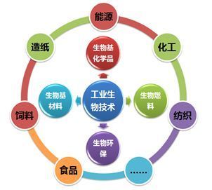 洞察热点:深度解析中国工业生物技术行业发展现状及前景