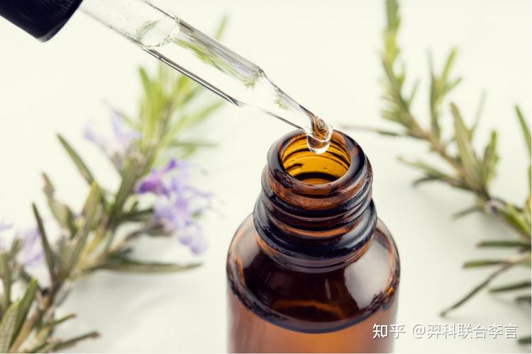 生物基认证计划来鼓励生产者和消费者使用更可持续和环保的生物基材料