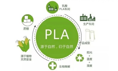 助力生物基产业新征程,顿汉布什服务安徽丰原集团