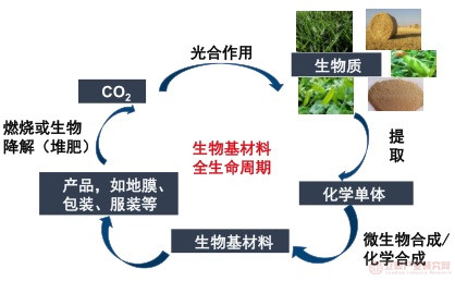 2022年版全球及中国生物基材料行业市场研究报告